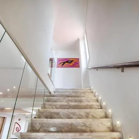 Sunny & * 卡尼奥提